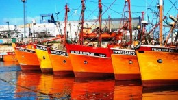 Avanza el proyecto ejecutivo del Mercado Concentrador Pesquero en Mar del Plata