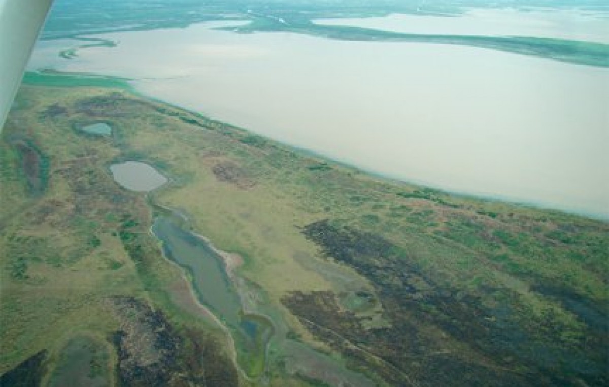 Un millón de hectáreas están inundadas en el Delta