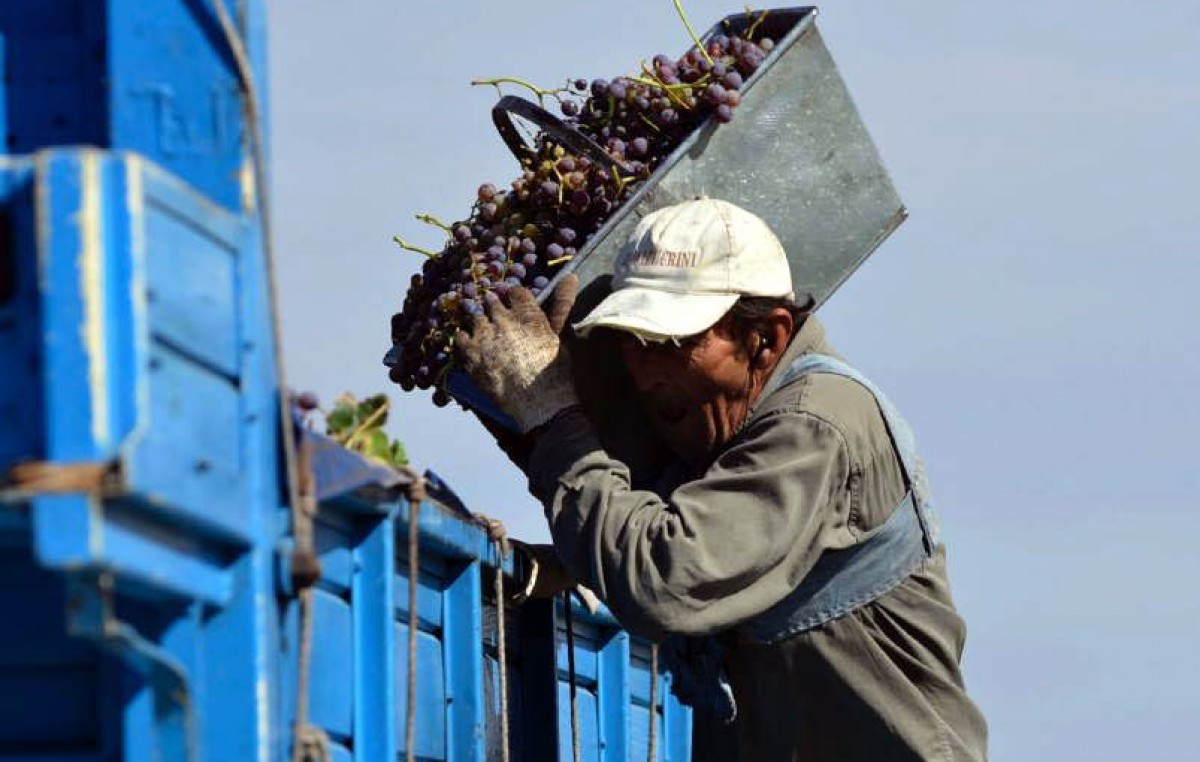 Santa Rosa (Mendoza) cubrirá gastos de acarreo de cosecha a pequeños productores