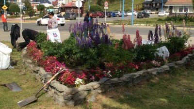 Nuevos canteros y embellecimiento de espacios verdes en Ushuaia