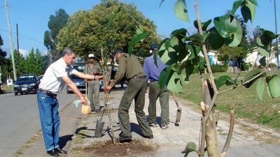 Continúan las tareas de arborización en la ciudad de Jujuy