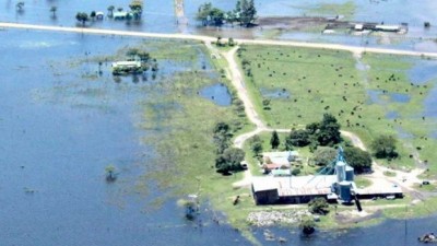 Garantizan asistencia a productores arroceros de Corrientes