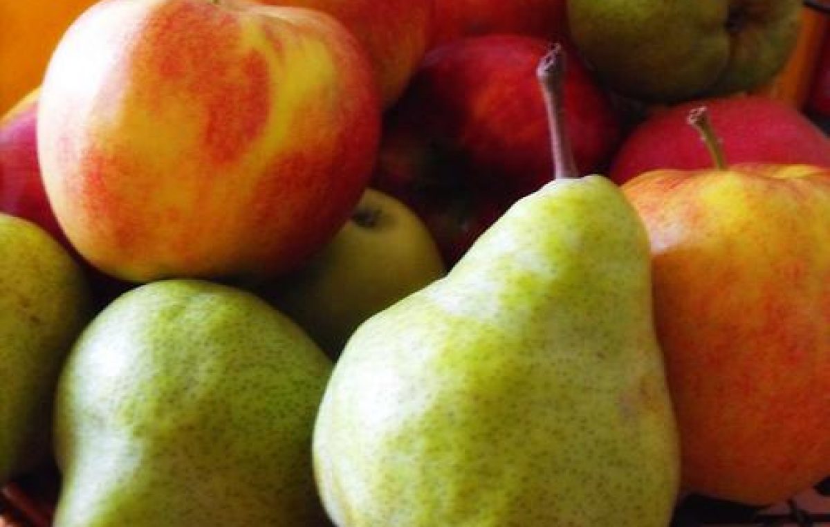 Nación, Río Negro y Neuquén constituyeron un fondo para productores de peras y manzanas