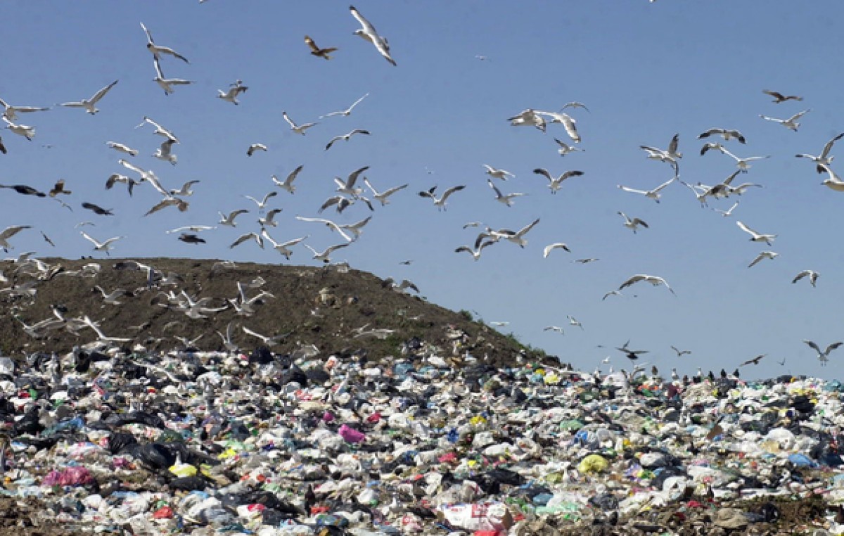 Punta Lara: Apuran los plazos para la nueva planta de basura en la Región