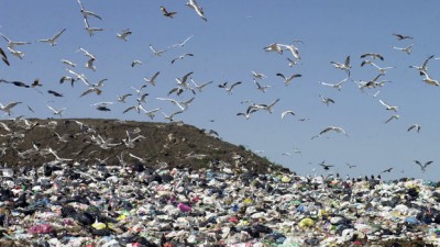 Punta Lara: Apuran los plazos para la nueva planta de basura en la Región