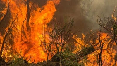 Fuego descontrolado en Cholila: evacúan casas y también a los brigadistas