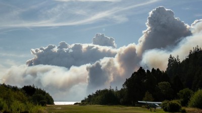 Más de 4500 hectáreas de bosque nativo arrasadas por incendio en Cholila