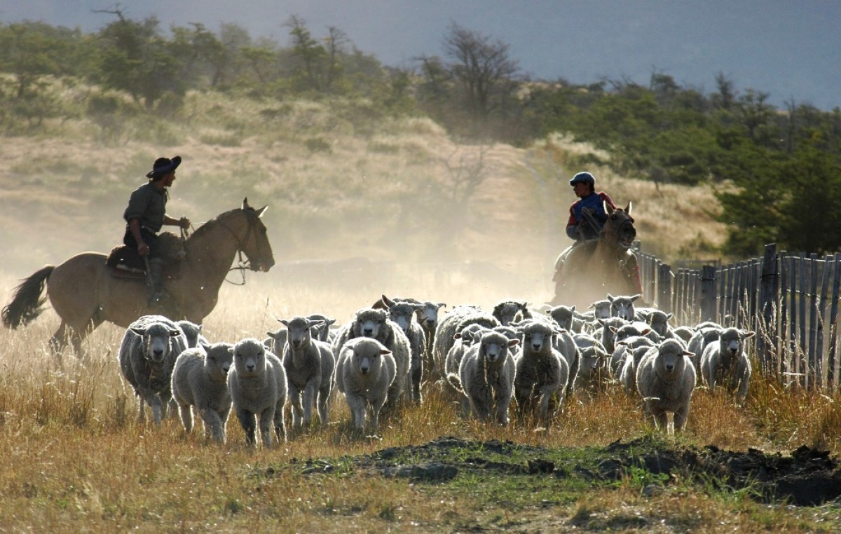 Lanzan un programa de desarrollo turístico para comunidades rurales