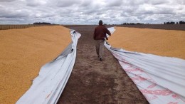 La AFIP creó un nuevo registro para controlar la producción y venta de los silos bolsas