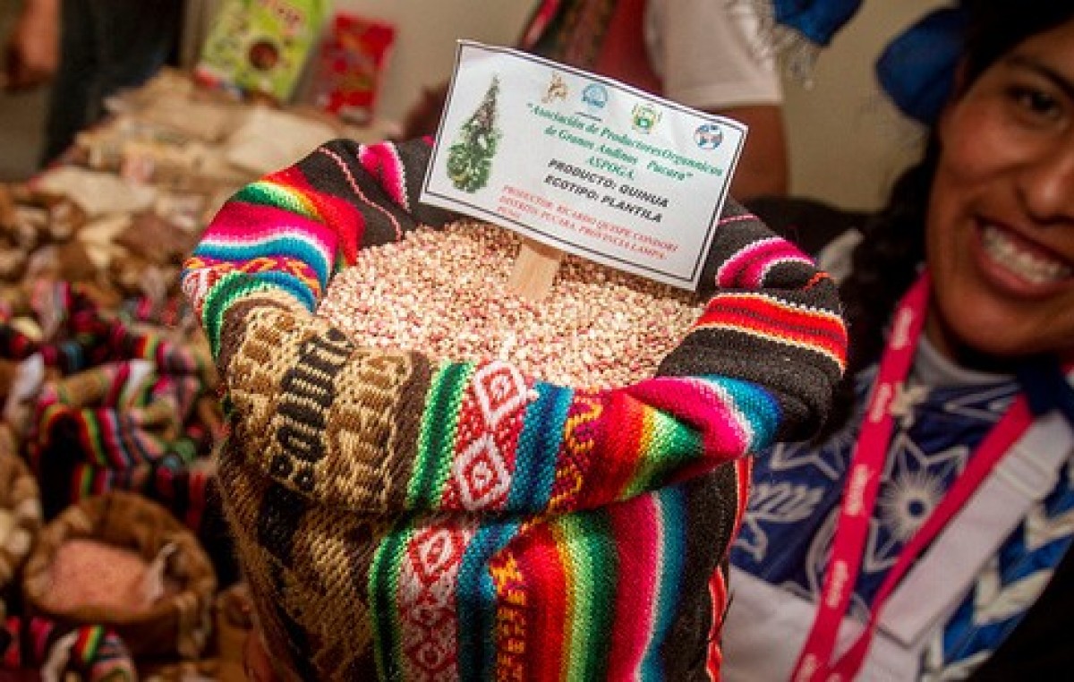II Fiesta de la Quinoa, 18 de marzo en Chalguamayoc