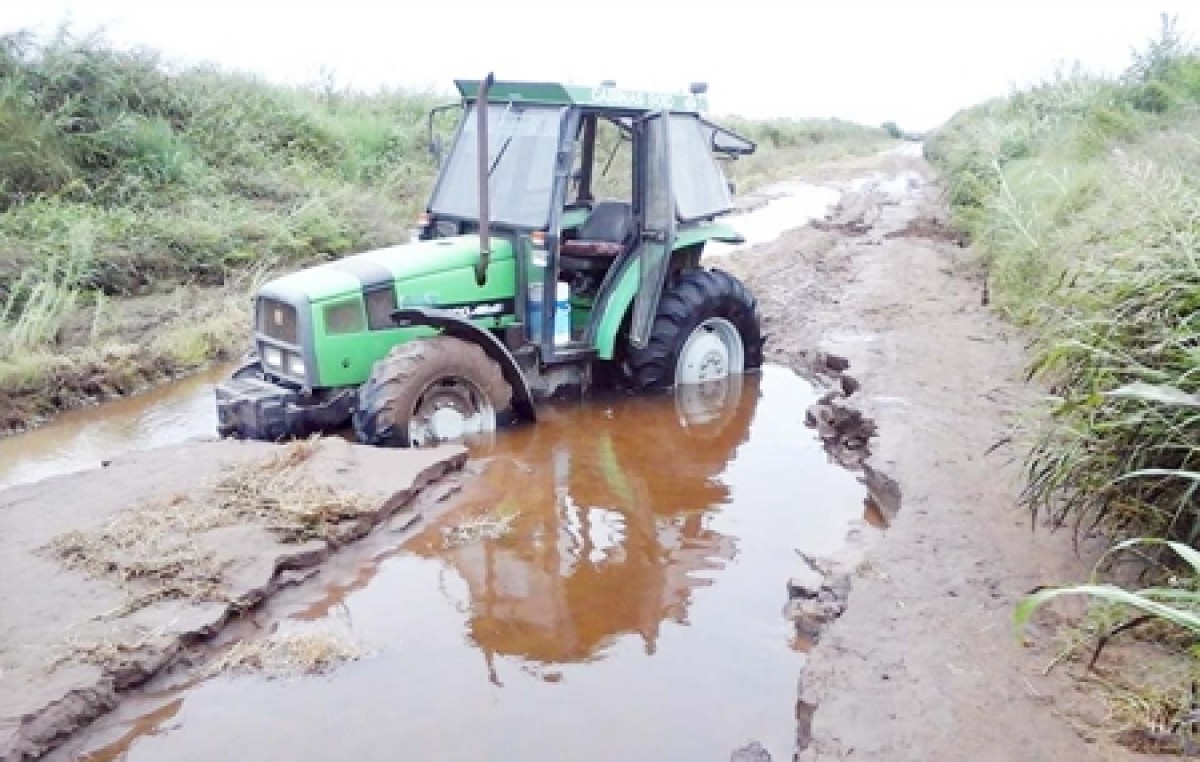 Hay 69 mil hectáreas inundadas y el 90% de los caminos rurales están destruidos en Bengolea, Ucacha y Chazón