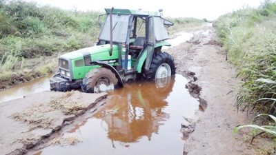 Hay 69 mil hectáreas inundadas y el 90% de los caminos rurales están destruidos en Bengolea, Ucacha y Chazón