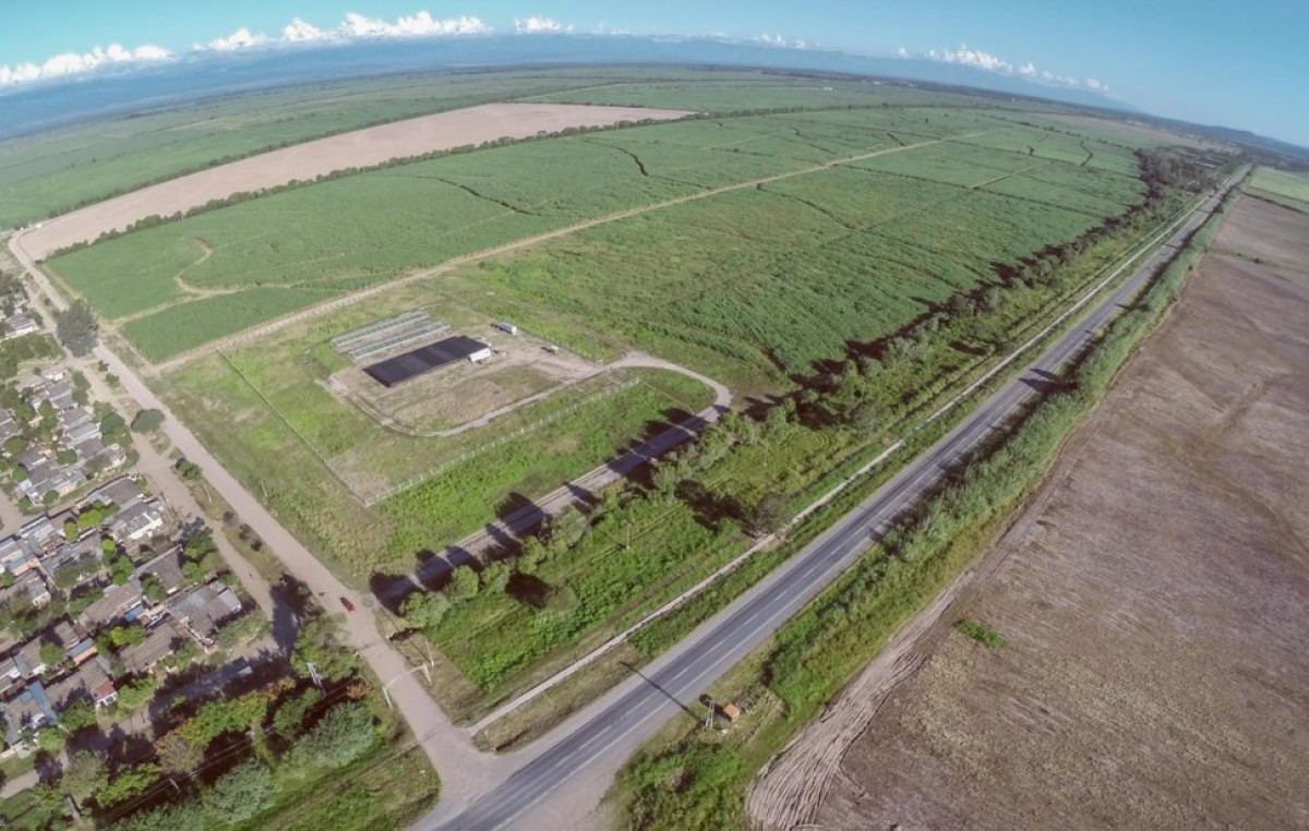 Construyen parque foresto industrial en microregión de San Pedro y la Esperanza