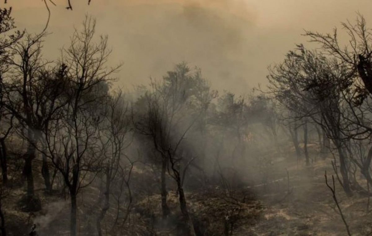 Chubut: Fueron más de 41 mil las hectáreas que se quemaron