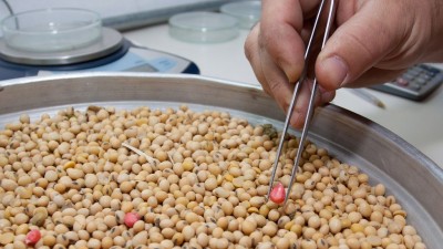 Argentina podrá comercializar cultivos biotecnológicos nacionales