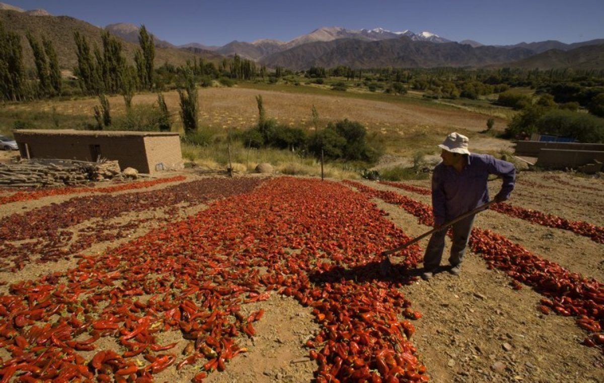 El Gobierno invirtió más de $2 millones en Cachi para fortalecer el desarrollo de pequeños productores