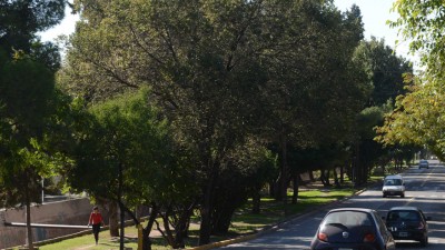 Afirman que invertirán $49 millones para mejorar calles de Mendoza