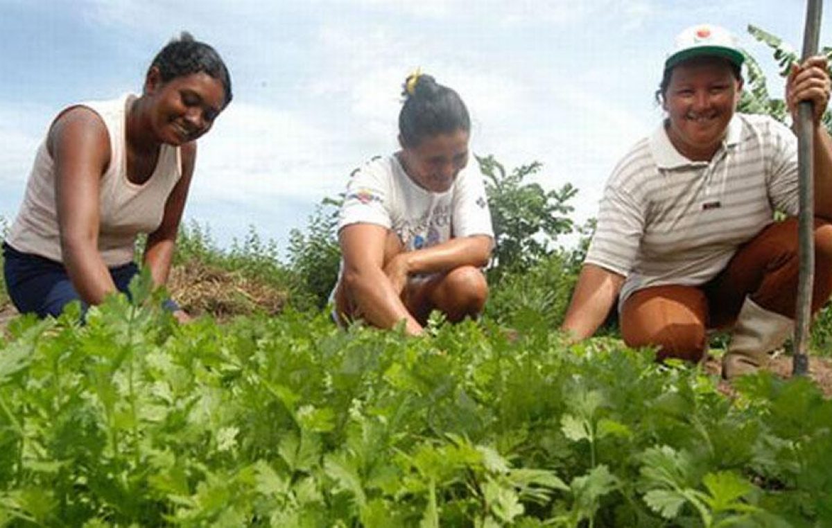 Jujuy adhiere a la ley nacional de agricultura familiar