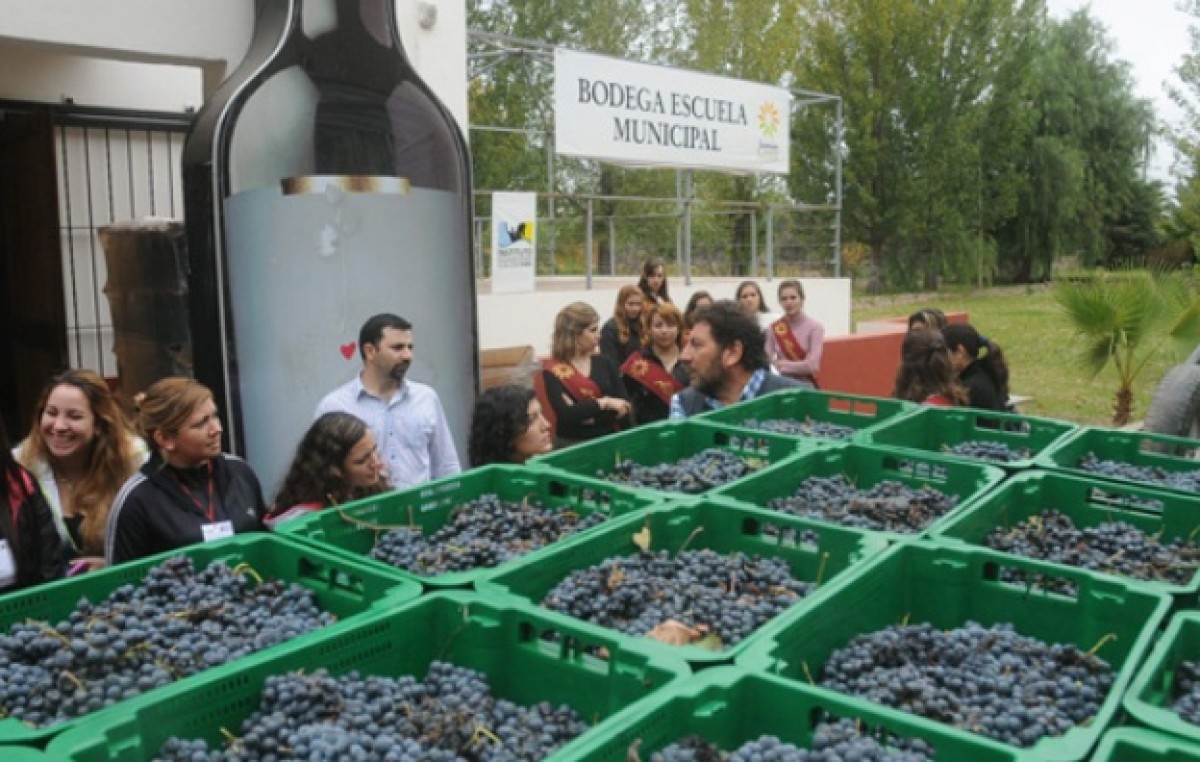 Se mueve la bodega municipal de Junín con su primera molienda