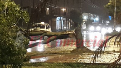 Fuerte tormenta produjo grandes daños materiales en Formosa