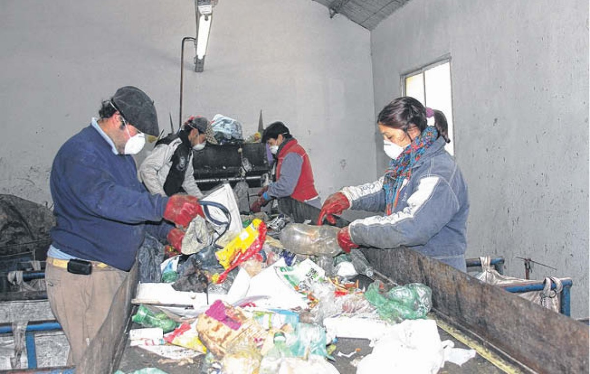 El 80% de los residuos reciclados de Dorrego termina vendiéndose