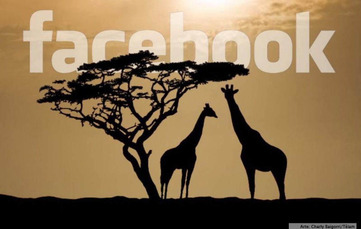 Facebook abrió su primera oficina en África para impulsar su presencia en el continente