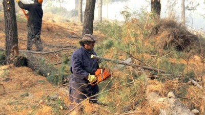 Mantenimiento de bosques comunales: El Gobierno del Chubut generó 60 empleos para vecinos de Esquel