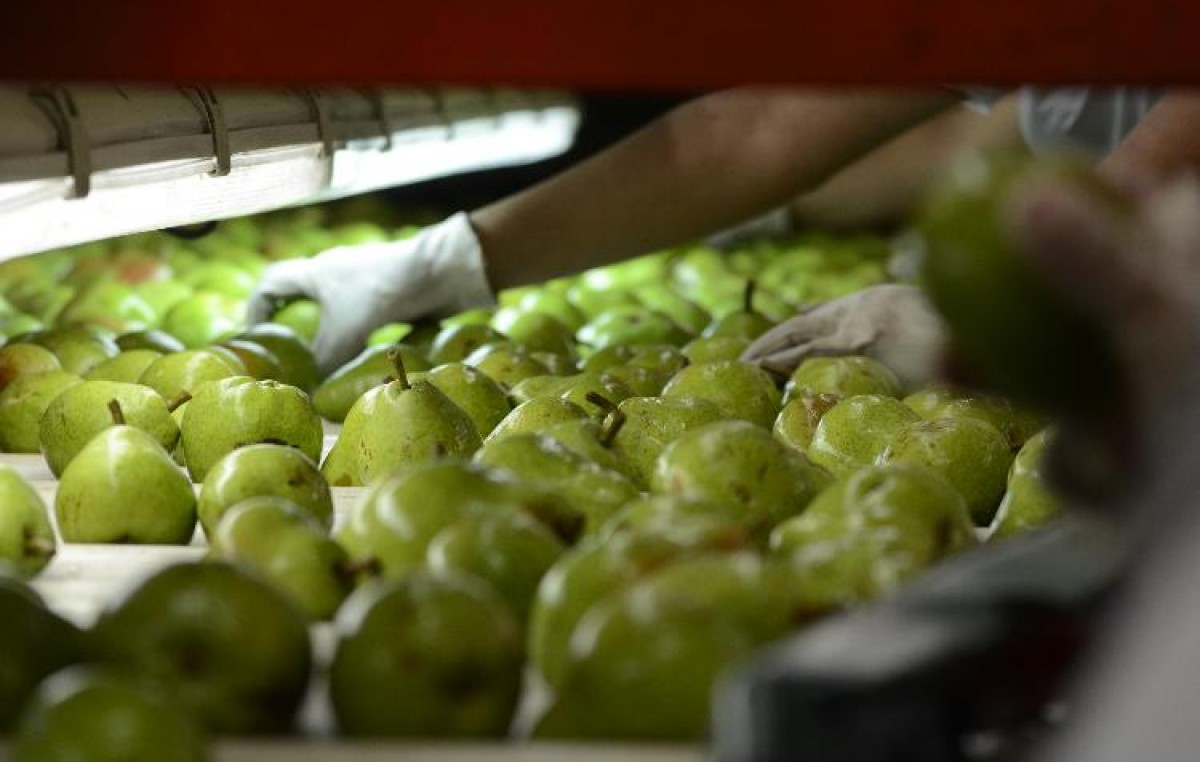 Argentina y Brasil levantan restricciones recíprocas a las importaciones de frutas