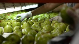 Argentina y Brasil levantan restricciones recíprocas a las importaciones de frutas