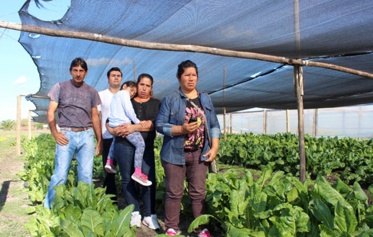 Entre Ríos: Unión de familias para trabajar la tierra y generar sus ingresos