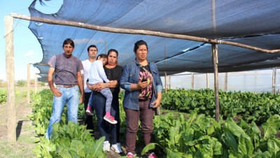 Entre Ríos: Unión de familias para trabajar la tierra y generar sus ingresos