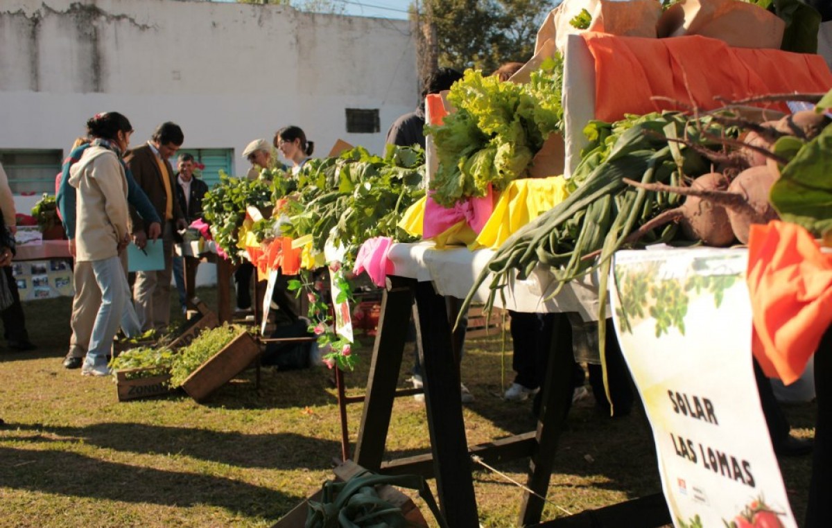 Huertas Urbanas en solares, escuelas y vecinales de Santa Fe