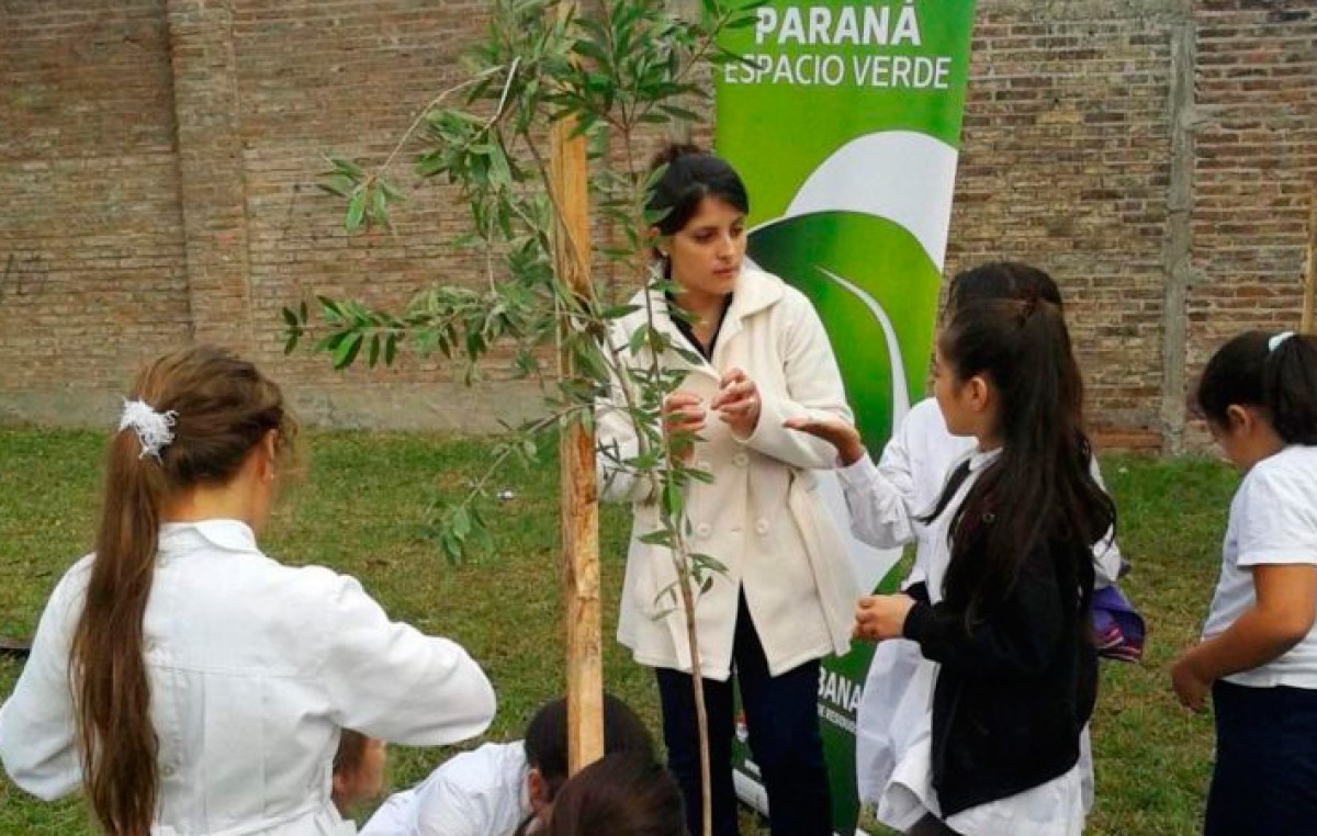 Plantaron más de 1.000 árboles en lo que va del año en Paraná