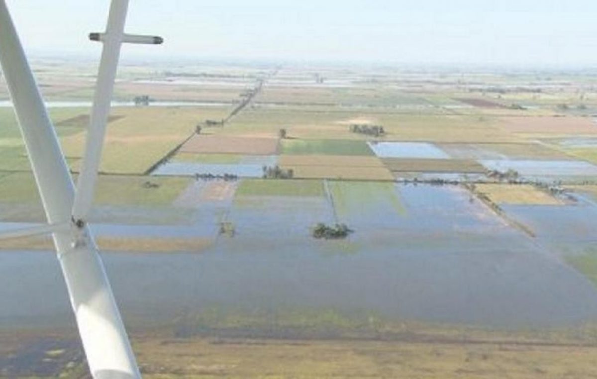 Córdoba: Lluvias provocan daños millonarios en la producción rural de San Justo