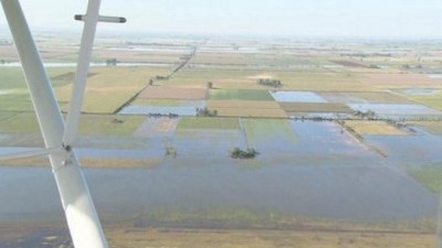 Córdoba: Lluvias provocan daños millonarios en la producción rural de San Justo