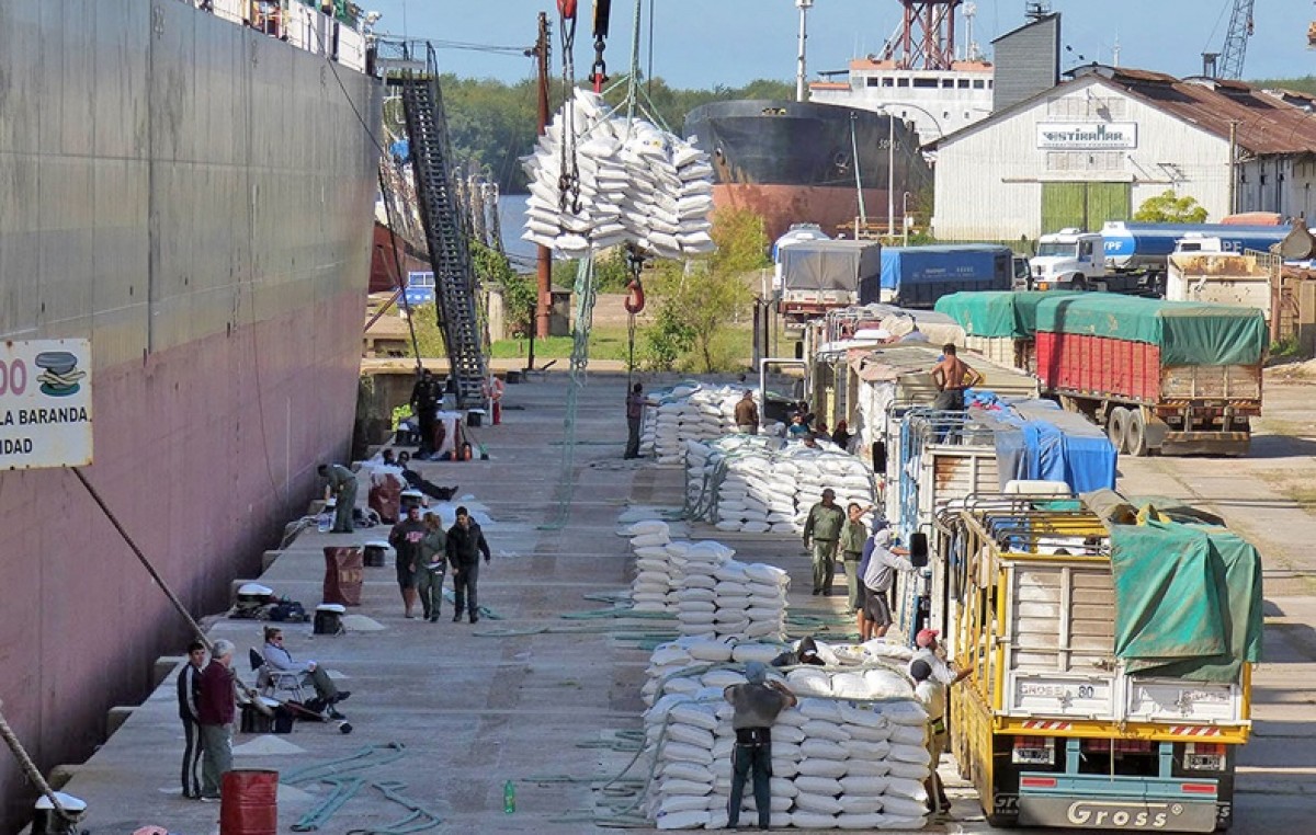En un mes tres navíos embarcarán 90.000 toneladas de arroz argentino desde Entre Ríos