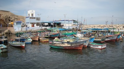 Puerto San Julián: Impulsan desarrollo de un Polo Productivo Pesquero