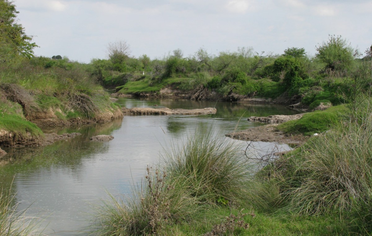 El humedal del Ludueña es área natural protegida