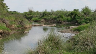 El humedal del Ludueña es área natural protegida