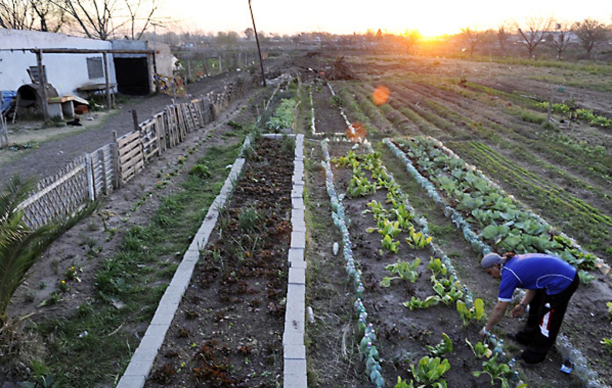Rosario: TGI 200% más a baldíos que deben producir verduras y no lo hacen