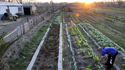 Rosario: TGI 200% más a baldíos que deben producir verduras y no lo hacen