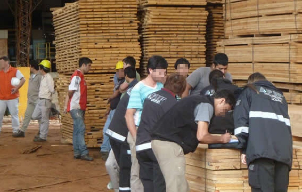 La AFIP descubrió a 71 trabajadores «en negro» en una empresa forestal