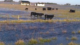 Extienden la emergencia por las inundaciones a 64 municipios bonaerenses