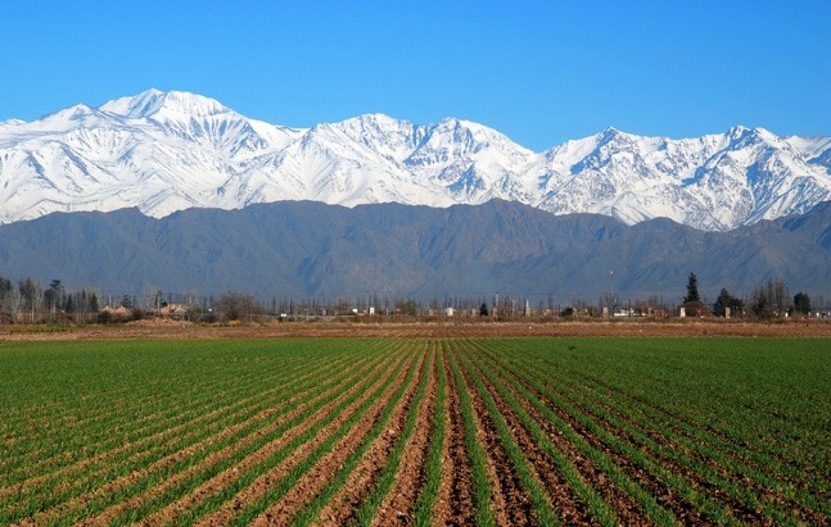 Mendoza: Límite al avance urbano hacia el campo