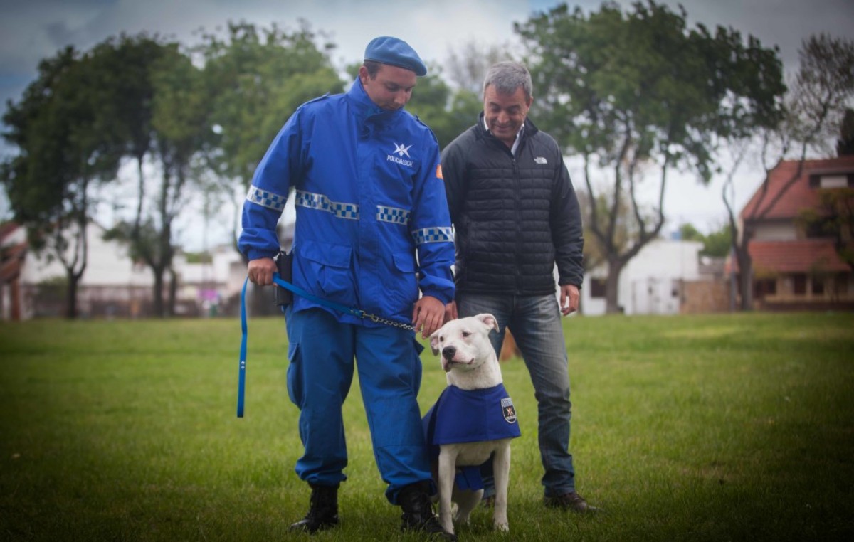Mar del Plata: Entrarán en acción la Unidad Canina de la Policía Local