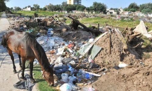 Advierten que hace falta regular el uso de bolsas plásticas y la basura en Río Cuarto