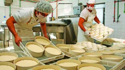 Impacto en los pueblos del interior: Las pymes lácteas generan el 50% de los empleos del sector