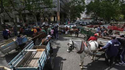 La Plata: Evalúan canjear motos por caballos para erradicar la tracción a sangre