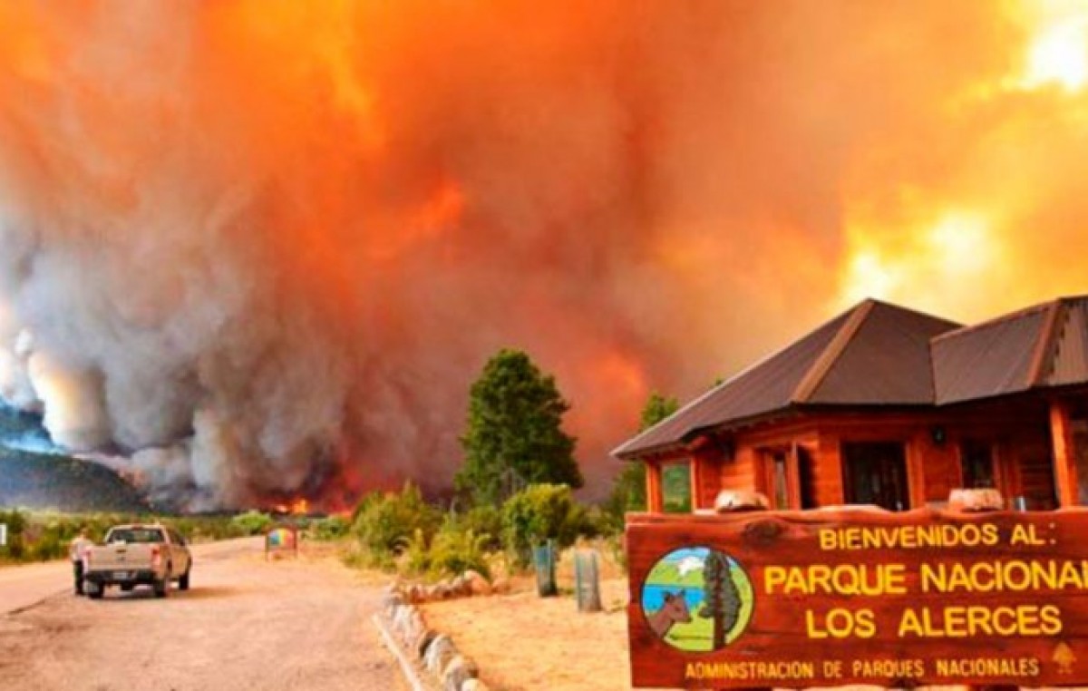 Incendio en Los Alerces ya consumió casi 1.400 hectáreas