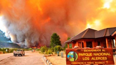 Incendio en Los Alerces ya consumió casi 1.400 hectáreas
